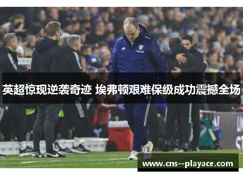 英超惊现逆袭奇迹 埃弗顿艰难保级成功震撼全场